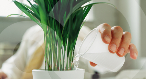 Learn about ESG for financial services