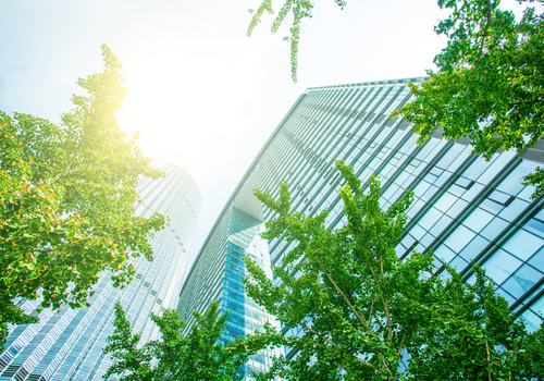 Greenwashing: Where Risk Management and ESG Meet