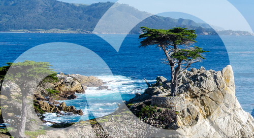 Learn more about SAI360 ESG Solutions