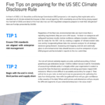 Five Tips - SEC Disclosure Rules