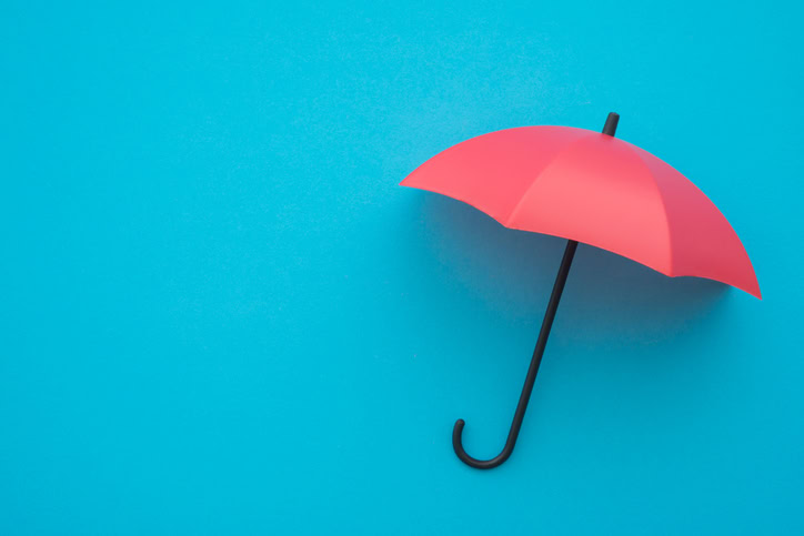 Enterprise Risk Management Programs