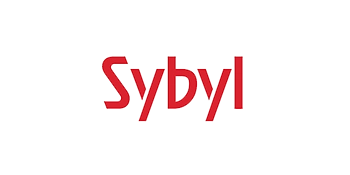 sybyl africa