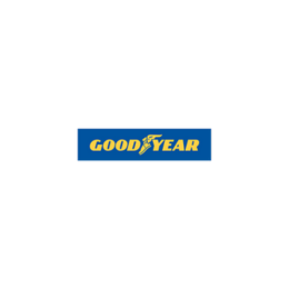Good Year Logo