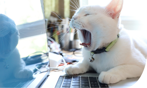 Common ethics and compliance struggles