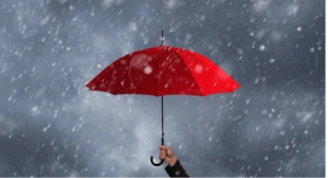 integrated risk management process