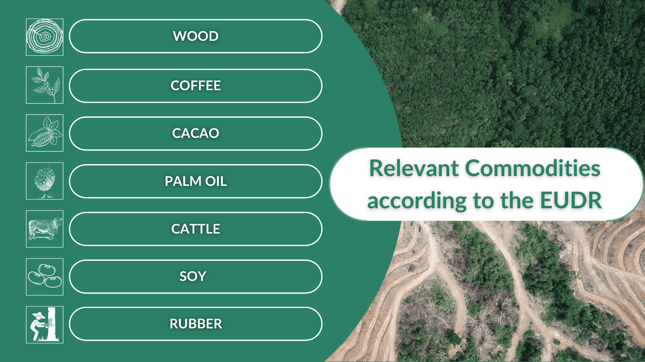 EUDR compliance deadline