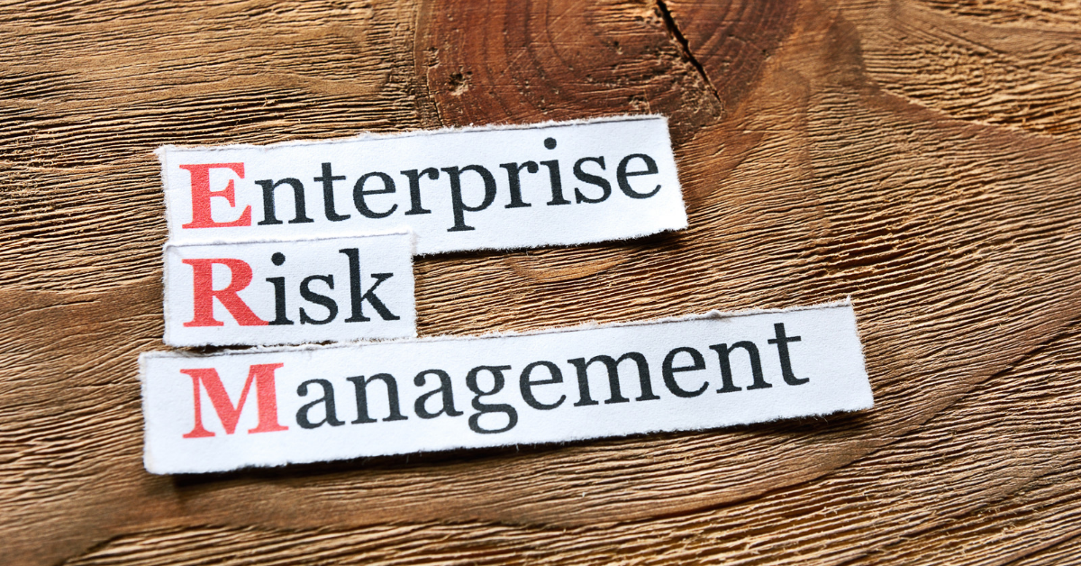 Step into your ERM role with confidence. Discover the three-phase framework, stakeholder relationships, and critical conversations that establish credibility in your first 90 days.